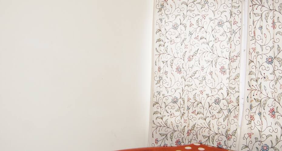 Hotel Royal Asia Palace, Srinagar 2